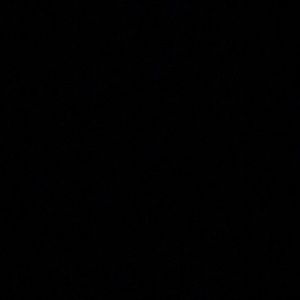 Meet your Posher, Todd